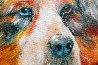 Bear the Catahoula Cur 2010 20x20 Original Painting by Marcia Baldwin - 3