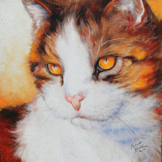 Cat Eyes Golden 2010 20x20 Original Painting - Marcia Baldwin