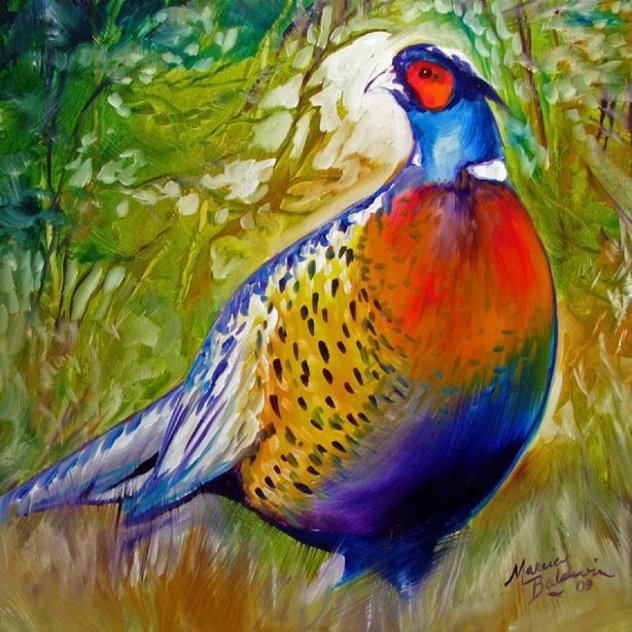 Pheasant 2009 Limited Edition Print by Marcia Baldwin