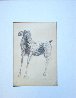 Horse 1948 Early Limited Edition Print by Marino Marini - 3
