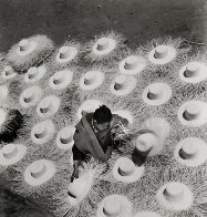 Palm Hats 1945 Photography by Leo Matiz - 0 Palm Hats 1945 Photography by Leo Matiz - 0
