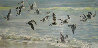 Untitled Seascape with Birds 1980 27x46 Original Painting by Ruth Mayer - 0