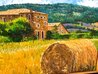 Untitled Farmhouse Landscape 30x42 Oil on Canvas - Huge Original Painting by Barbara McCann - 3 Untitled Farmhouse Landscape 30x42 Oil on Canvas - Huge Original Painting by Barbara McCann - 3