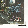 Flower Market - New York - NYC Limited Edition Print by Harry McCormick - 2