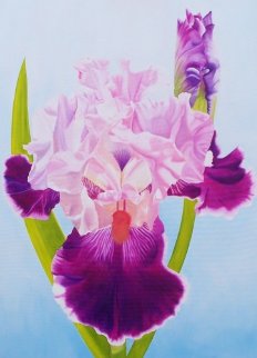 Iris and Bud 2011 40x30 Original Painting - Ron Reeves Meadow Iris and Bud 2011 40x30 Original Painting - Ron Reeves Meadow