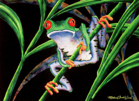 Red Eyed Tree Frog - Huge Limited Edition Print - Michael David Ward