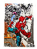 Spiderman 2021 36x24 HS ESCO Original Painting by  MiMo - 1