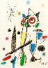 Maravillas Con Variaciones Acrosticas En El Jardín Limited Edition Print by Joan Miro - 0