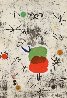 Serie Personatges I Estels: Plate 1 1979 HS Limited Edition Print by Joan Miro - 0