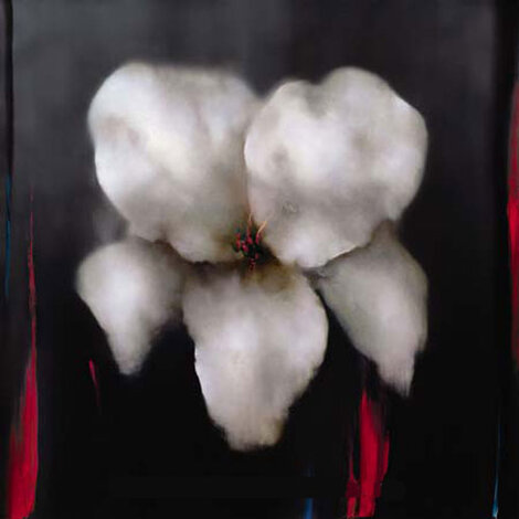 White Lily 2006 Embellished Giclee on Canvas - 43x43 Huge Limited Edition Print - Victoria Montesinos