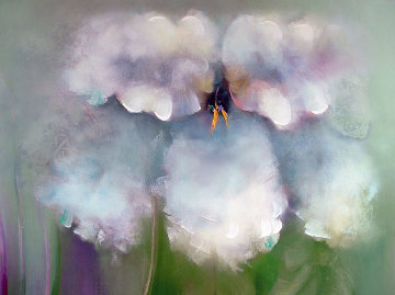 Misty Sunset Limited Edition Print - Victoria Montesinos Misty Sunset Limited Edition Print - Victoria Montesinos
