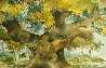 Robin Hood's Oak Watercolor 1998 24x32 Watercolor by Wayland Moore - 0