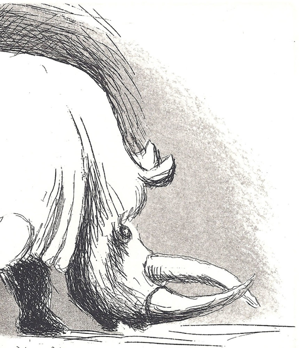 Rhinoceros's Head 1982 Limited Edition Print by Henry Moore Rhinoceros's Head 1982 Limited Edition Print by Henry Moore
