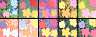 Flowers Suite of 10 2007 Limited Edition Print by Sunday B. Morning - 0
