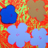 Flowers Suite of 10 Silkscreens 2007 Limited Edition Print by Sunday B. Morning - 3