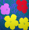 Flowers Suite of 10 Silkscreens 2007 Limited Edition Print by Sunday B. Morning - 5