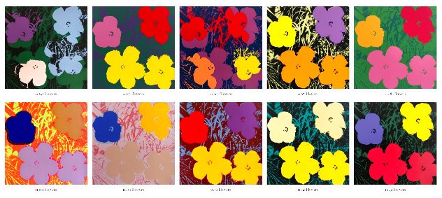 Flowers Suite of 10 Silkscreens 2007 Limited Edition Print by Sunday B. Morning