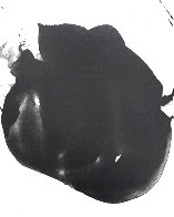 Three Poems: Untitled Lithograph 1987 Limited Edition Print by Robert Motherwell - 0 Three Poems: Untitled Lithograph 1987 Limited Edition Print by Robert Motherwell - 0
