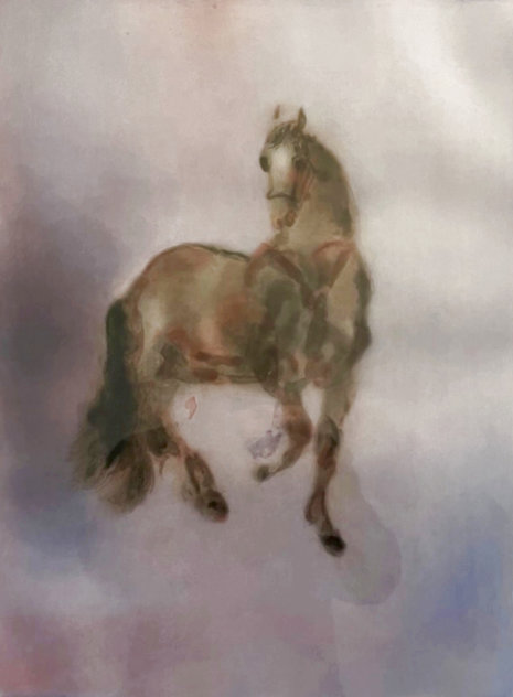 Cheval Dresse 1986 Limited Edition Print by Kaiko Moti