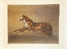 Tiger, Horse, and Cat 1974 - Set of 3 Lithographs Limited Edition Print by Kaiko Moti - 4