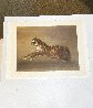 Tiger, Horse, and Cat 1974 - Set of 3 Lithographs Limited Edition Print by Kaiko Moti - 3
