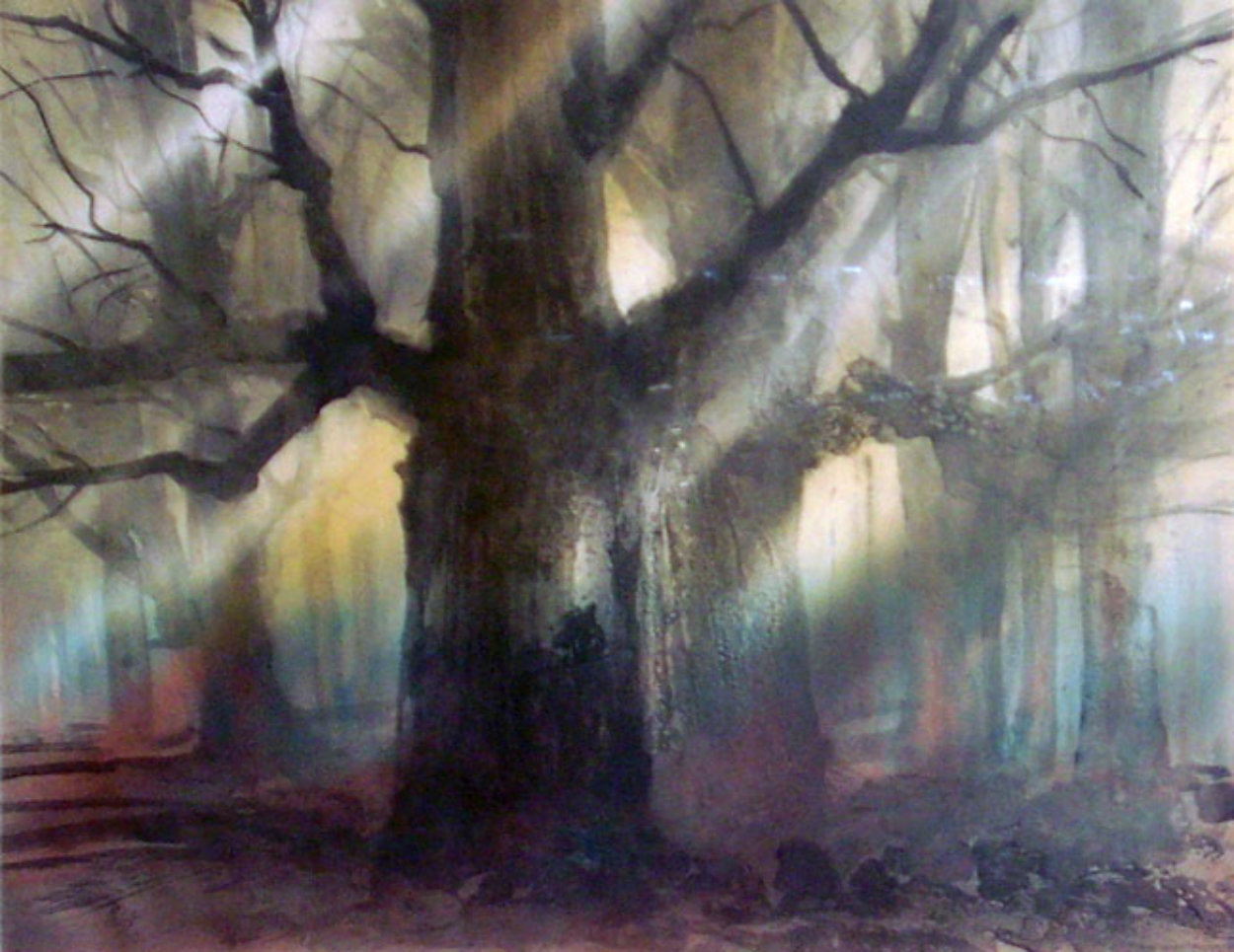 Forest Limited Edition Print by Kaiko Moti Forest Limited Edition Print by Kaiko Moti