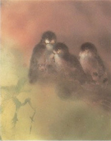 Owl Light 1985 Limited Edition Print - Kaiko Moti