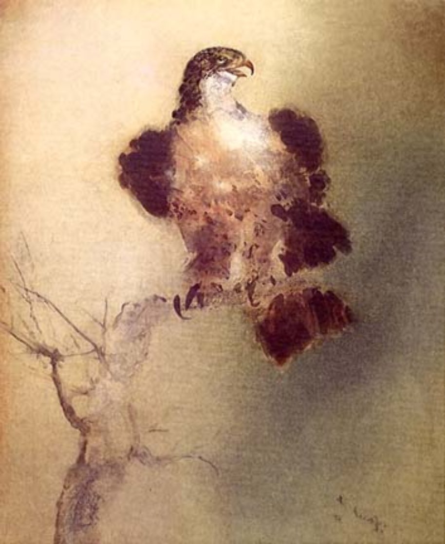 Falcon 1975 Limited Edition Print by Kaiko Moti Falcon 1975 Limited Edition Print by Kaiko Moti
