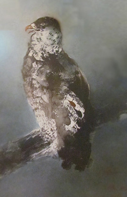 Falcon on Branch Limited Edition Print by Kaiko Moti