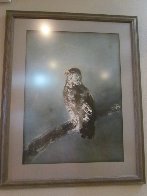 Falcon on Branch Limited Edition Print by Kaiko Moti - 1 Falcon on Branch Limited Edition Print by Kaiko Moti - 1