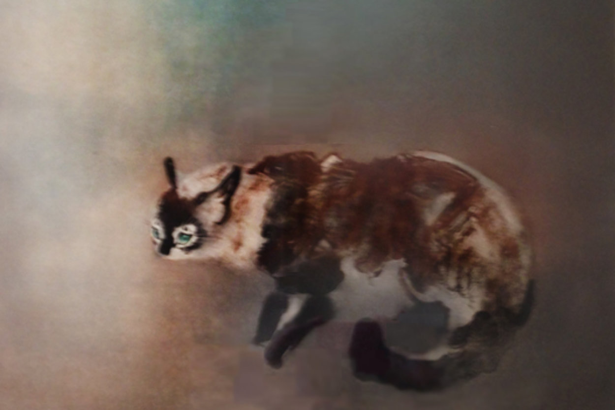 Cat 1966 Limited Edition Print by Kaiko Moti Cat 1966 Limited Edition Print by Kaiko Moti