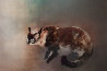 Cat 1966 Limited Edition Print by Kaiko Moti - 0