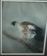 Eagle 1974 Limited Edition Print by Kaiko Moti - 2 Eagle 1974 Limited Edition Print by Kaiko Moti - 2