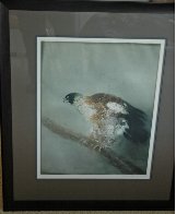 Eagle 1974 Limited Edition Print by Kaiko Moti - 1 Eagle 1974 Limited Edition Print by Kaiko Moti - 1