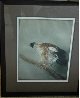 Eagle 1974 Limited Edition Print by Kaiko Moti - 1