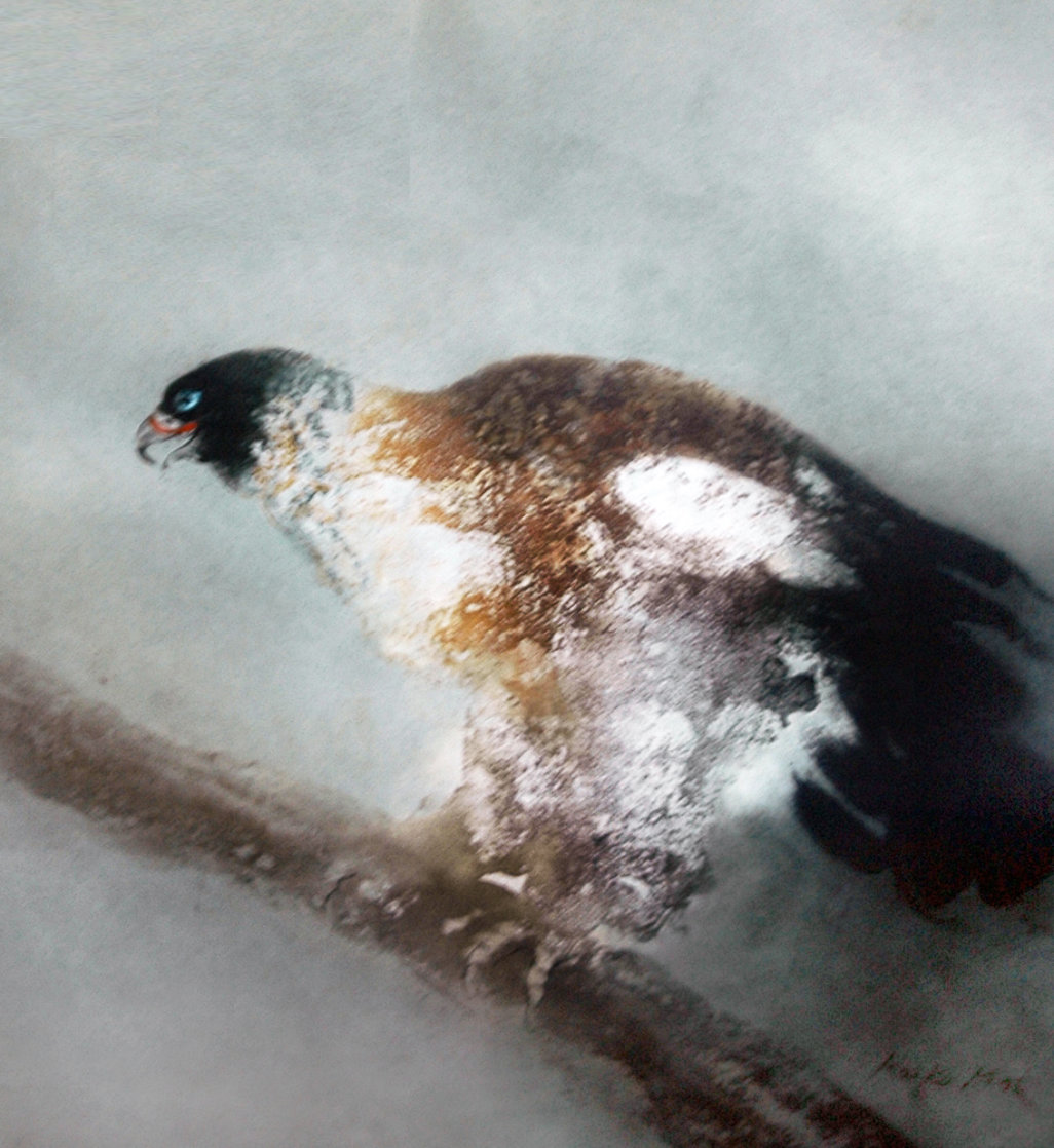 Eagle 1974 Limited Edition Print by Kaiko Moti Eagle 1974 Limited Edition Print by Kaiko Moti