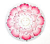 Lotus Flower - Pink 2008 Limited Edition Print by Takashi Murakami - 0