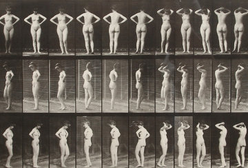 Animal Locomotion, Plate 531 Photography - Eadweard Muybridge Animal Locomotion, Plate 531 Photography - Eadweard Muybridge