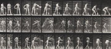 Animal Locomotion, Plate 402 1887 Photography - Eadweard Muybridge Animal Locomotion, Plate 402 1887 Photography - Eadweard Muybridge