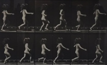 Animal Locomotion, Plate 469 1887 Photography - Eadweard Muybridge Animal Locomotion, Plate 469 1887 Photography - Eadweard Muybridge