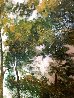 Summer Forest 2015 Embellished Limited Edition Print by David Najar - 5