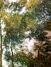 Summer Forest 2015 Embellished - Huge Limited Edition Print by David Najar - 5