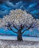 Blue Midnight Limited Edition Print by David Najar - 0 Blue Midnight Limited Edition Print by David Najar - 0
