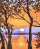 Morning Splash Limited Edition Print by David Najar - 0 Morning Splash Limited Edition Print by David Najar - 0