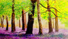 Lavender Field 2015 - Framed Embellished Giclee on Canvas - Huge Limited Edition Print by David Najar - 0 Lavender Field 2015 - Framed Embellished Giclee on Canvas - Huge Limited Edition Print by David Najar - 0