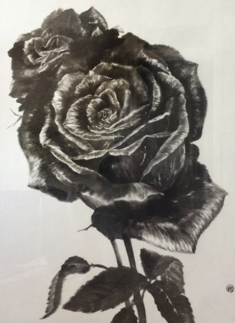Two Roses VII 2004 23x27 Works on Paper (not prints) by Naoto Nakagawa