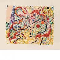 Vertigo (Padon 20), 1980 Limited Edition Print by Nancy Graves - 1 Vertigo (Padon 20), 1980 Limited Edition Print by Nancy Graves - 1