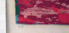 Florida Racing AP 1974 Limited Edition Print by LeRoy Neiman - 3 Florida Racing AP 1974 Limited Edition Print by LeRoy Neiman - 3