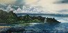 Hanalei Nani, Kauai, Hawaii 1984 Limited Edition Print by Robert Lyn Nelson - 0 Hanalei Nani, Kauai, Hawaii 1984 Limited Edition Print by Robert Lyn Nelson - 0