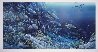 Hanalei Nani, Kauai, Hawaii 1984 Limited Edition Print by Robert Lyn Nelson - 1 Hanalei Nani, Kauai, Hawaii 1984 Limited Edition Print by Robert Lyn Nelson - 1